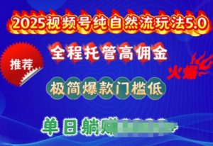2025视频号纯自然流玩法5.0,全程托管高佣金,极简爆款门槛低,单日收益多张【揭秘】-则成副业项目资源站