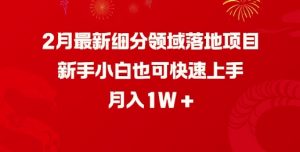 2月最新细分领域落地项目，新手小白也可快速上手，月入1W-则成副业项目资源站