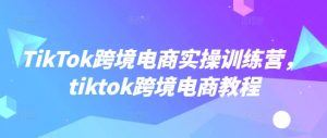 TikTok跨境电商实操训练营，tiktok跨境电商教程-则成副业项目资源站