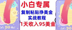 复制粘贴挣美金，0门槛，1天收入95美刀，3分钟学会，内部教程(首次公开)-则成副业项目资源站