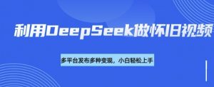 利用DeepSeek做怀旧视频,流量号多渠道变现能力强-则成副业项目资源站