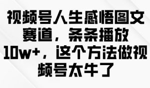 视频号人生感悟图文赛道，条条播放10w+，这个方法做视频号太牛了-则成副业项目资源站