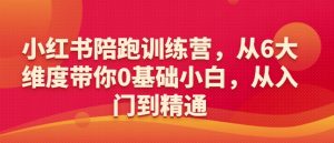 小红书陪跑训练营,从6大维度带你0基础小白,从入门到精通-则成副业项目资源站