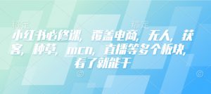 小红书必修课,覆盖电商,无人,获客,种草,mcn,直播等多个板块,看了就能干-则成副业项目资源站