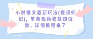 小说推文最新玩法(视频标记)，单条视频收益四位数，详细教程来了-则成副业项目资源站