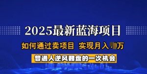 2025蓝海项目，普通人如何通过卖项目，实现月入过W，全过程【揭秘】-则成副业项目资源站