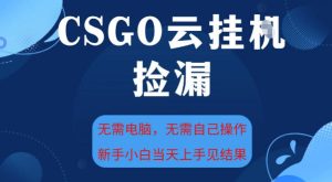 CSGO云挂G全自动捡漏,最新独家玩法,无需电脑操作,新手小白日入5张+【揭秘】-则成副业项目资源站