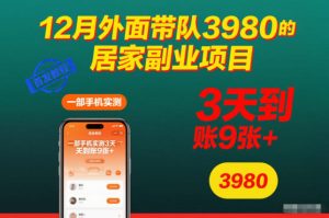 12月外面带队3980的居家副业项目，一部手机实测3天到账9张+，首发教程【揭秘】-则成副业项目资源站