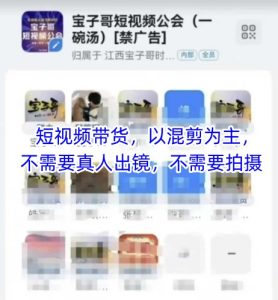 宝子哥头部团队短视频带货，以混剪为主，不需要真人出镜，不需要拍摄【更新11月】-则成副业项目资源站