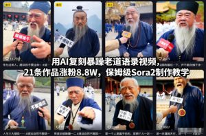 用AI复刻暴躁老道语录视频,21条作品涨粉8.8W,保姆级Sora2制作教学-则成副业项目资源站