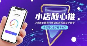 小店随心推微付费撬动自然流投手教学，小店随心推手把手教学-则成副业项目资源站
