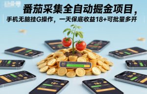 番茄采集全自动掘金项目，手机无脑挂G操作，一天保底收益18+可批量多开【揭秘】-则成副业项目资源站