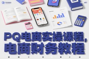 PQ电商实操课程,电商财务教程-则成副业项目资源站
