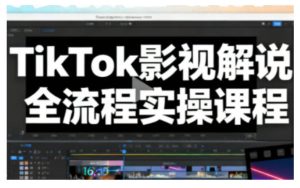 TikTok影视解说全流程实操，手把手教你打造TK爆款解说视频-则成副业项目资源站
