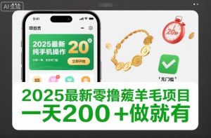 2025最新零撸薅羊毛项目，纯手机操作，20秒一单，无任何门槛，一天200+做就有【揭秘】-则成副业项目资源站
