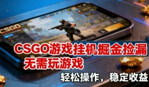 CSGO游戏挂G掘金捡漏，不需要玩游戏，操作简单，收益稳定【揭秘】-则成副业项目资源站