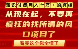 知识付费月入10个W的真相，做网创项目这一个就够了，不要再疯狂的找所谓的风口项目【揭秘】-则成副业项目资源站