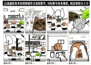 卤蛋哈基米短视频制作全流程教学，条条爆款，疯狂吸粉几十万-则成副业项目资源站