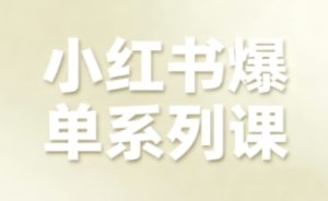 小红书爆单系列课，聚焦小红书电商全链路增长（更新）-则成副业项目资源站