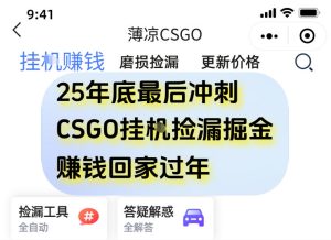 12月年底抓紧最后一个月，用CSGO游戏挂G捡漏掘金賺钱掘金，一部手机轻松日入5张+【揭秘】-则成副业项目资源站
