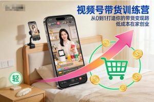 视频号带货训练营，从0到1打造你的带货变现路，低成本在家创业-则成副业项目资源站