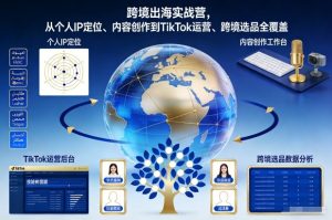 跨境出海实战营，从个人IP定位、内容创作到TikTok运营、跨境选品全覆盖-则成副业项目资源站