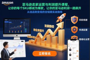 亚马逊卖家运营与利润提升课程，让你的每个SKU都成为爆款，让你的亚马逊利润一路飙升（更新12月）-则成副业项目资源站