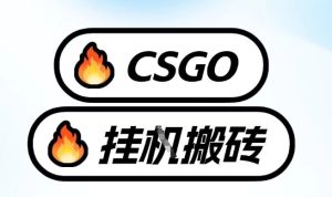 真全网独家CSGO挂G，最新玩法,单日捡漏1K+，不用电脑，不用打游戏【揭秘】-则成副业项目资源站