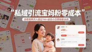 私域引流宝妈粉零成本流程简单月入超过1W+适合小白想做副业的-则成副业项目资源站
