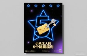 付费文章：小众之人的5个隐藏福利-则成副业项目资源站