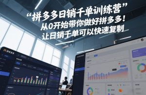 拼多多日销千单训练营，从0开始带你做好拼多多，让日销千单可以快速复制(更新26年1月)-则成副业项目资源站
