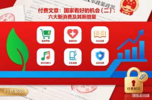 付费文章：国家看好的机会(二)：六大新消费及其新增量-则成副业项目资源站