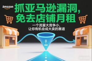 抓亚马逊漏洞，免去店铺月租，一个流量大竞争小，让你有机会成大卖的赛道-则成副业项目资源站