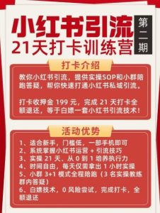 小红书引流21天打卡训练营第二期，助你快速打通小红书私域引流打粉-则成副业项目资源站