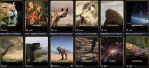 抖音60W粉丝博主最新科学知识科普视频制作教学，流量超好，多平台发布撸收益-则成副业项目资源站