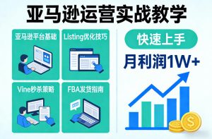 亚马逊运营实战教学，亚马逊平台+Listing优化+Vine秒杀+FBA发货等，快速上手，实现店铺月利润1W-则成副业项目资源站