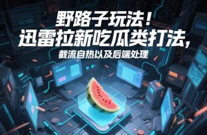 野路子玩法！迅雷拉新吃瓜类打法，截流自热以及后端处理-则成副业项目资源站