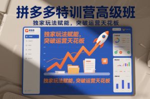 拼多多特训营高阶班，独家玩法赋能，突破运营天花板（更新26年2月）-则成副业项目资源站