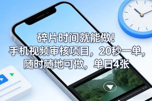 碎片时间就能做！手机视频审核项目，20秒一单，随时随地可做，单日4张+【揭秘】-则成副业项目资源站