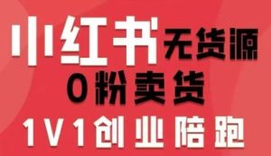 小红书无货源0粉电商课，开店准备、选品策略、笔记撰写、视频剪辑、数据分析、账号打造、资料文档（更新26年2月）-则成副业项目资源站