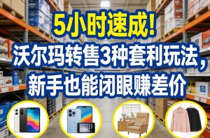 5小时速成！沃尔玛转售3种套利玩法，新手也能闭眼賺差价-则成副业项目资源站