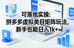 可落地实操:拼多多虚拟类目矩阵玩法,新手也能日入1k+【揭秘】-则成副业项目资源站
