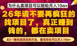 为什么真正賺到钱的都在卖项目，从0-1教你卖项目的方法，看完你也可以月入10w+【揭秘】-则成副业项目资源站