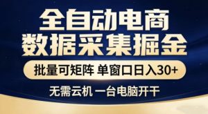 独家电商数据全自动采集项目，批量可矩阵，单窗口轻松日入3张+【揭秘】-则成副业项目资源站