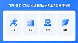 可灵–即梦–豆包–海螺视频去水印工具带视频教程-则成副业项目资源站