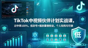 TikTok中视频伙伴计划实战课，过中率100%，低封号+播放量賺收益，个人矩阵均可做-则成副业项目资源站