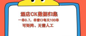 上班也能玩的酒店CK数据归集，一单0.7单窗口每天可做100单，一个人就能矩阵操作【揭秘】-则成副业项目资源站