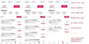 迅雷浏览器项目2.0_拆个大佬周1W的打法-则成副业项目资源站