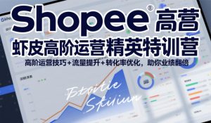 Shopee虾皮高阶运营精英特训营,高阶运营技巧+流量提升+转化率优化,助你业绩翻倍(更新26年5月)-则成副业项目资源站