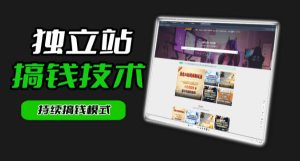 干货来袭!麦子甜带你吃透独立站|从搭建到引流一站式教学《独立站》第一期-则成副业项目资源站